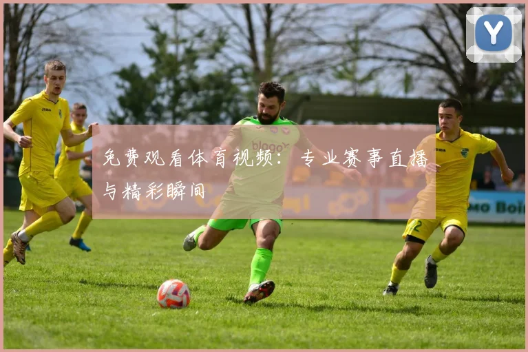 免费观看体育视频:专业赛事直播与精彩瞬间