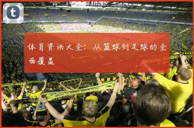 体育资讯大全：从篮球到足球的全面覆盖