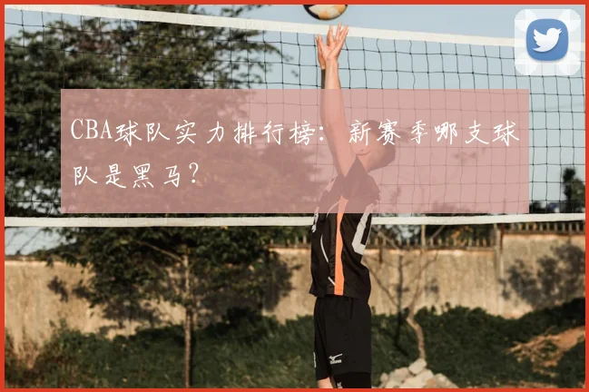 CBA球队实力排行榜:新赛季哪支球队是黑马?