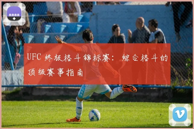 UFC 终极格斗锦标赛：综合格斗的顶级赛事指南