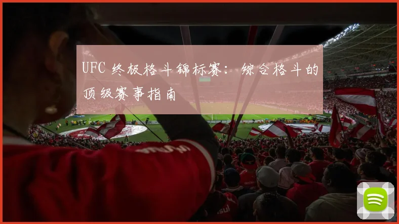 UFC 终极格斗锦标赛:综合格斗的顶级赛事指南